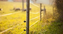 Clôtures et treillis